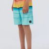 Boys * | O'Neill Gonzo Volley 17" Turquoise