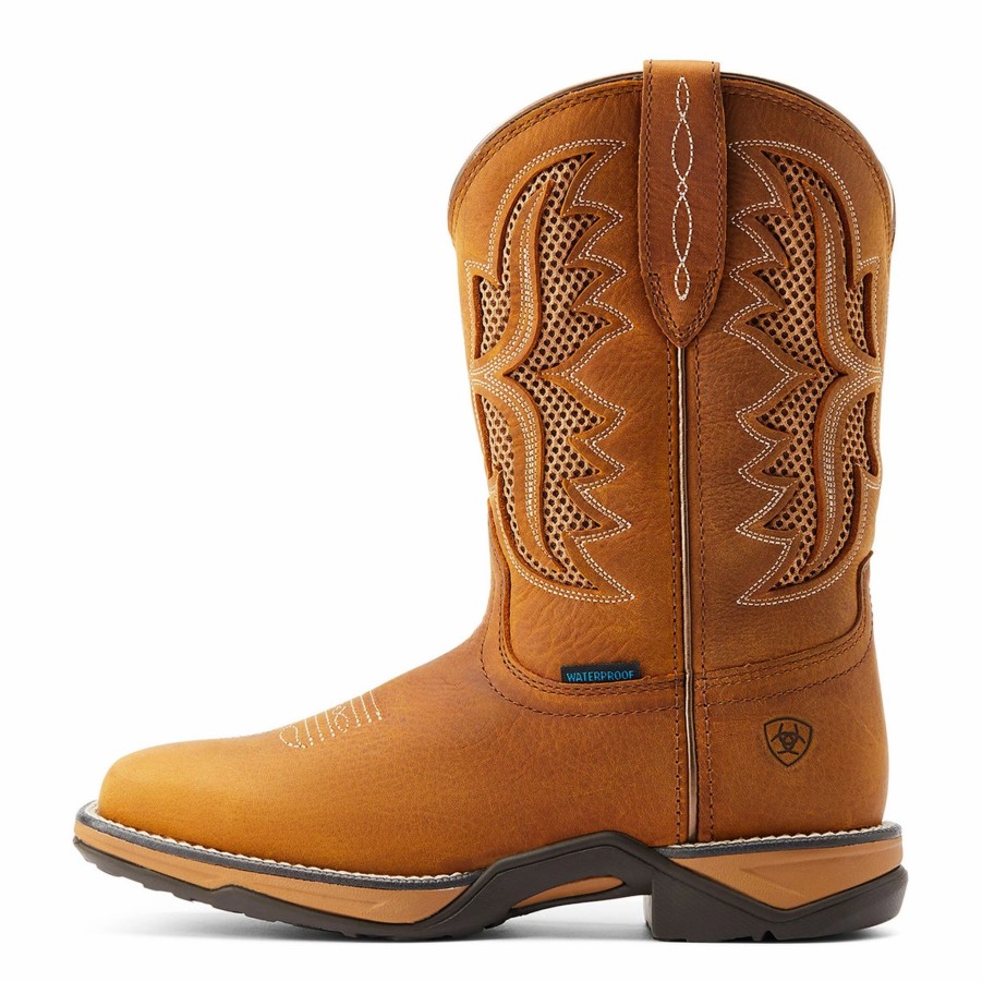 Boots & Shoes * | Ariat Women'S Anthem Venttek Boots