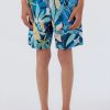 Boys * | O'Neill Cruzer 16" Boardshort Navy