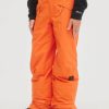 Boys * | O'Neill Anvil Pants Puffin'S Bill